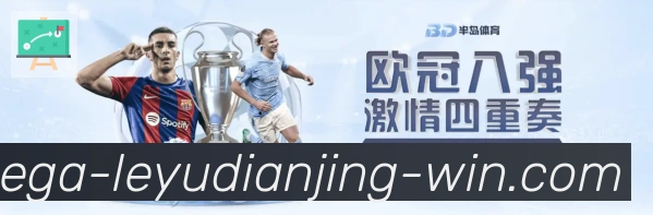 未来规划